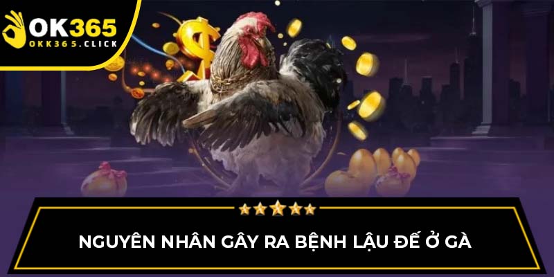 Nguyên nhân gây ra bệnh lậu đế ở gà 