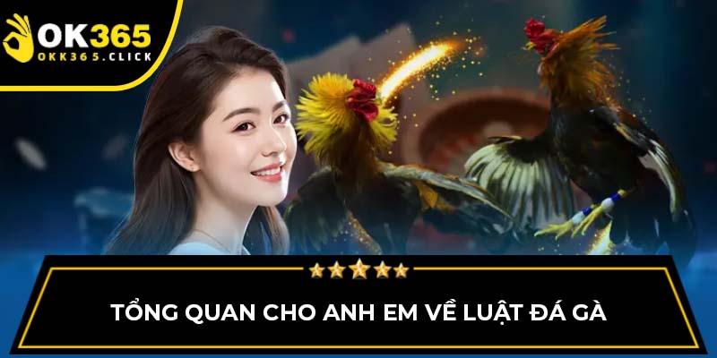 Tổng quan cho anh em về luật đá gà