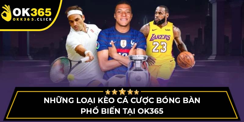 Những loại kèo cá cược bóng bàn phổ biến tại OK365