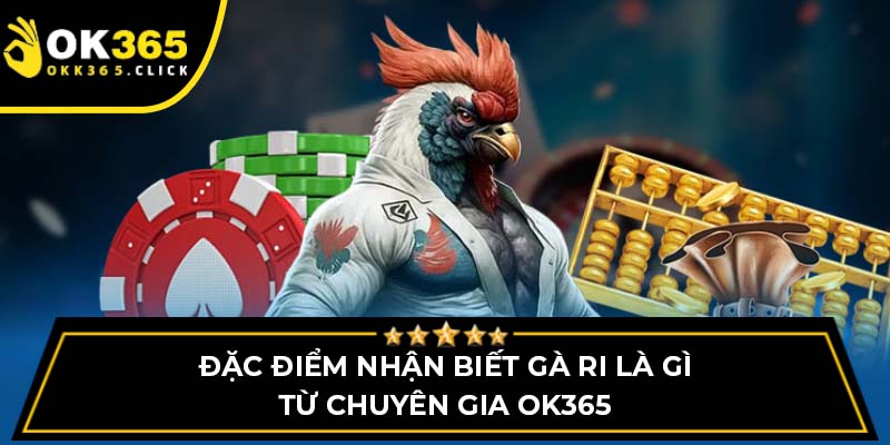 Đặc điểm nhận biết gà ri là gì từ chuyên gia OK365