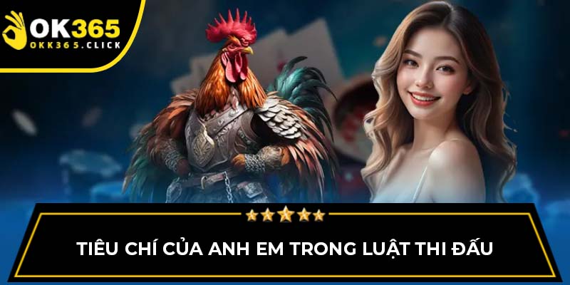 Tiêu chí của anh em trong luật thi đấu