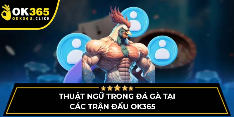 Thuật ngữ trong đá gà tại các trận đấu OK365